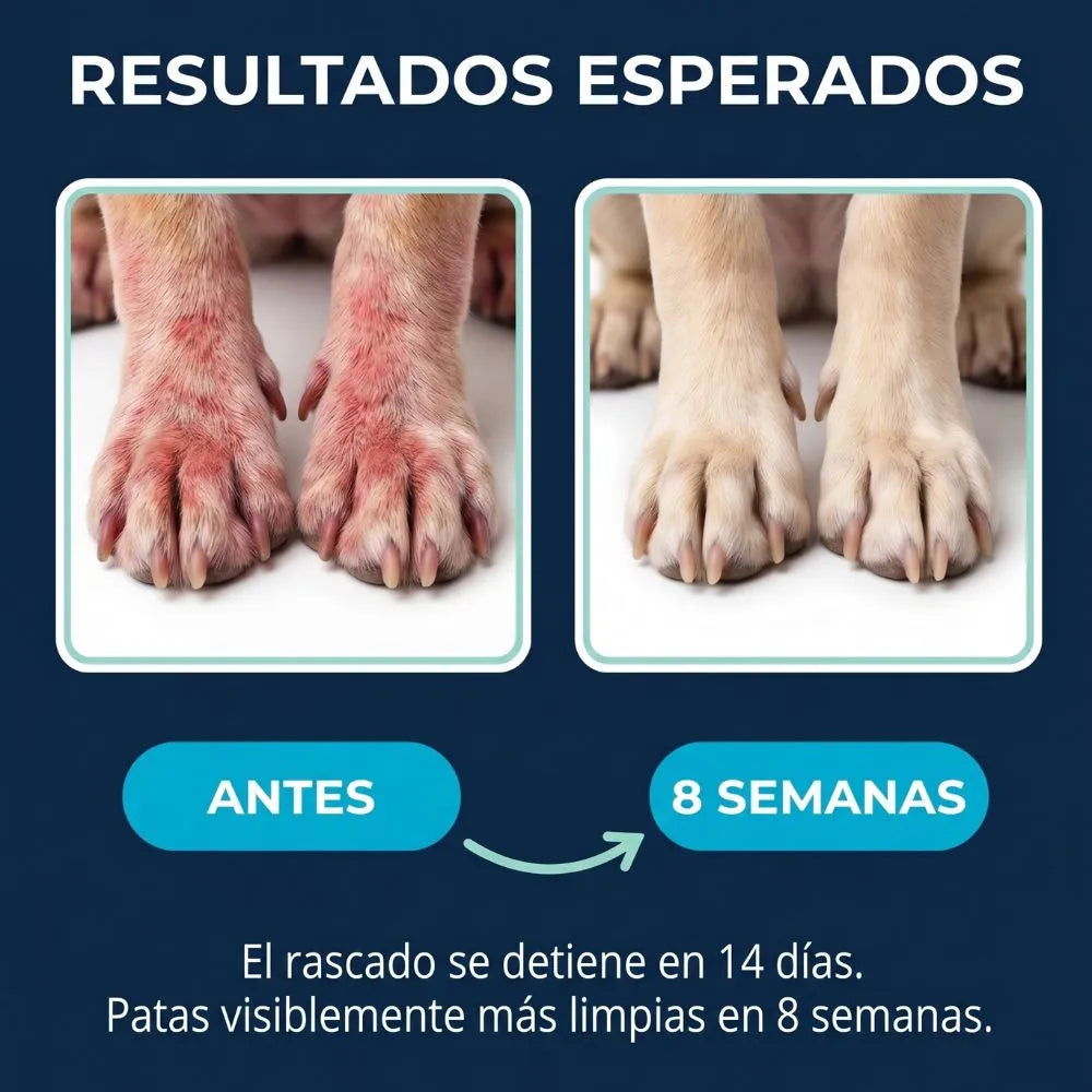 Elimina la picazón, los hongos, mal olor y las molestias de tu perro