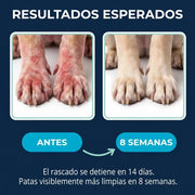 Elimina la picazón, los hongos, mal olor y las molestias de tu perro