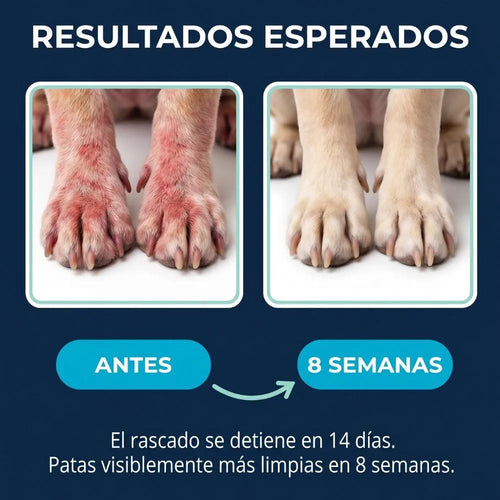 Elimina la picazón, los hongos, mal olor y las molestias de tu perro
