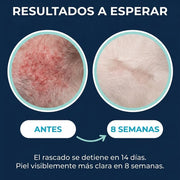 Elimina la picazón, los hongos, mal olor y las molestias de tu perro