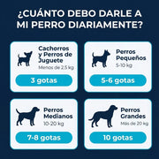 Elimina la picazón, los hongos, mal olor y las molestias de tu perro