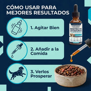 Elimina la picazón, los hongos, mal olor y las molestias de tu perro